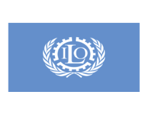 International Labour Organisation (on behalf of the Department of Small Business Development)